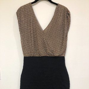 Express Fitted Black Dress with Gold & Taupe Top
